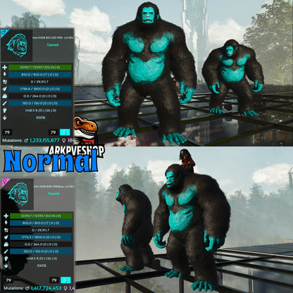 Aberrant or Normal Gigantopithecus