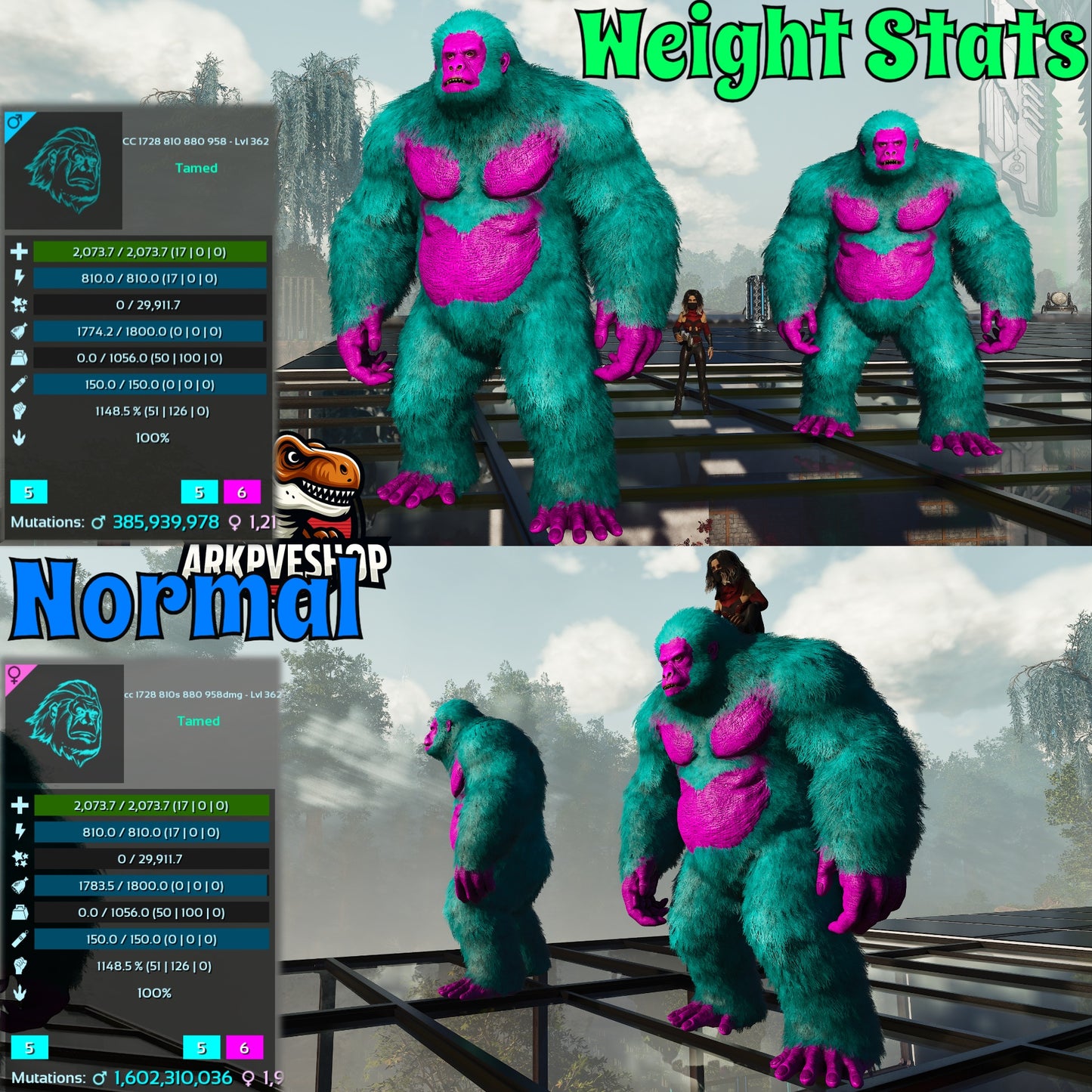 Aberrant or Normal Gigantopithecus