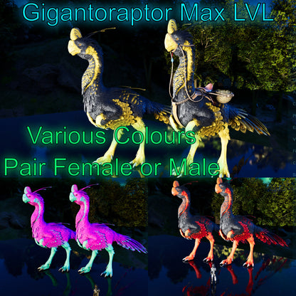 Gigantoraptor Max Level 362