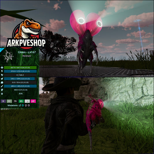 Gloon High&Low Lvls Clone