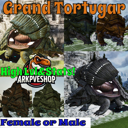 Grand Tortugar New Dino High Lvl