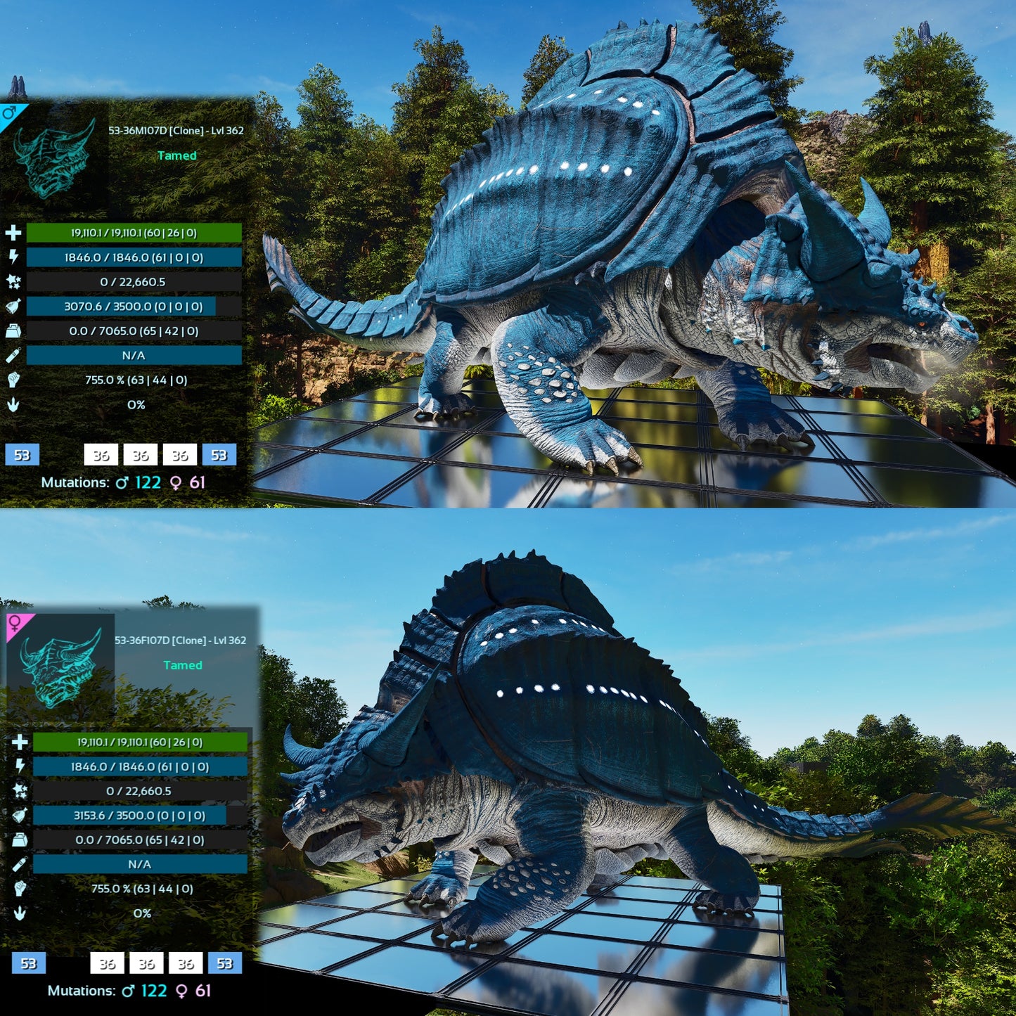 Grand Tortugar Lvl 362