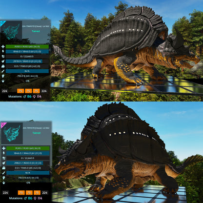 Grand Tortugar Lvl 362