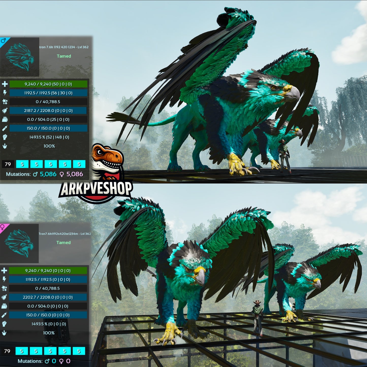 Griffin 362Lvl 1493.5% Melee