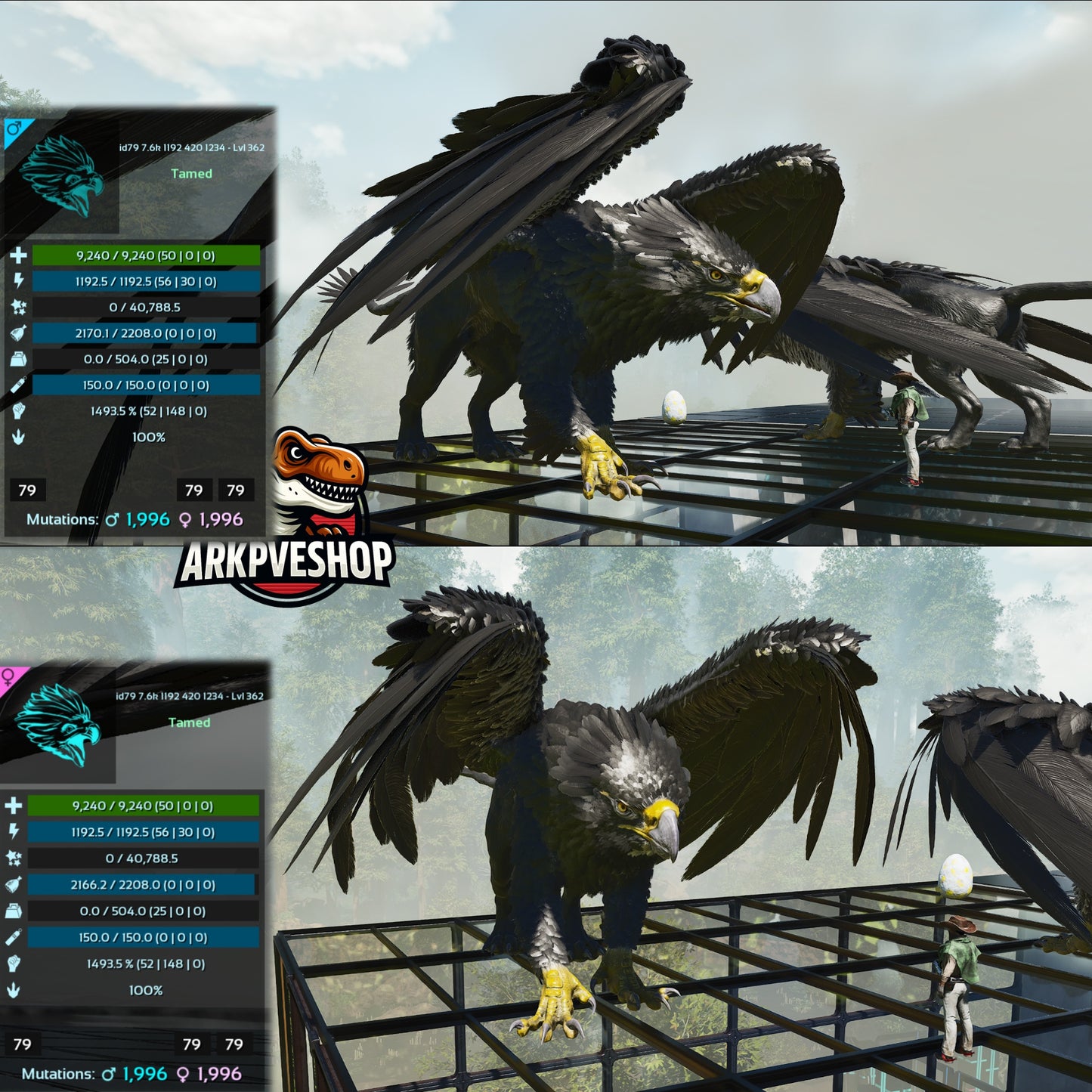 Griffin 362Lvl 1493.5% Melee