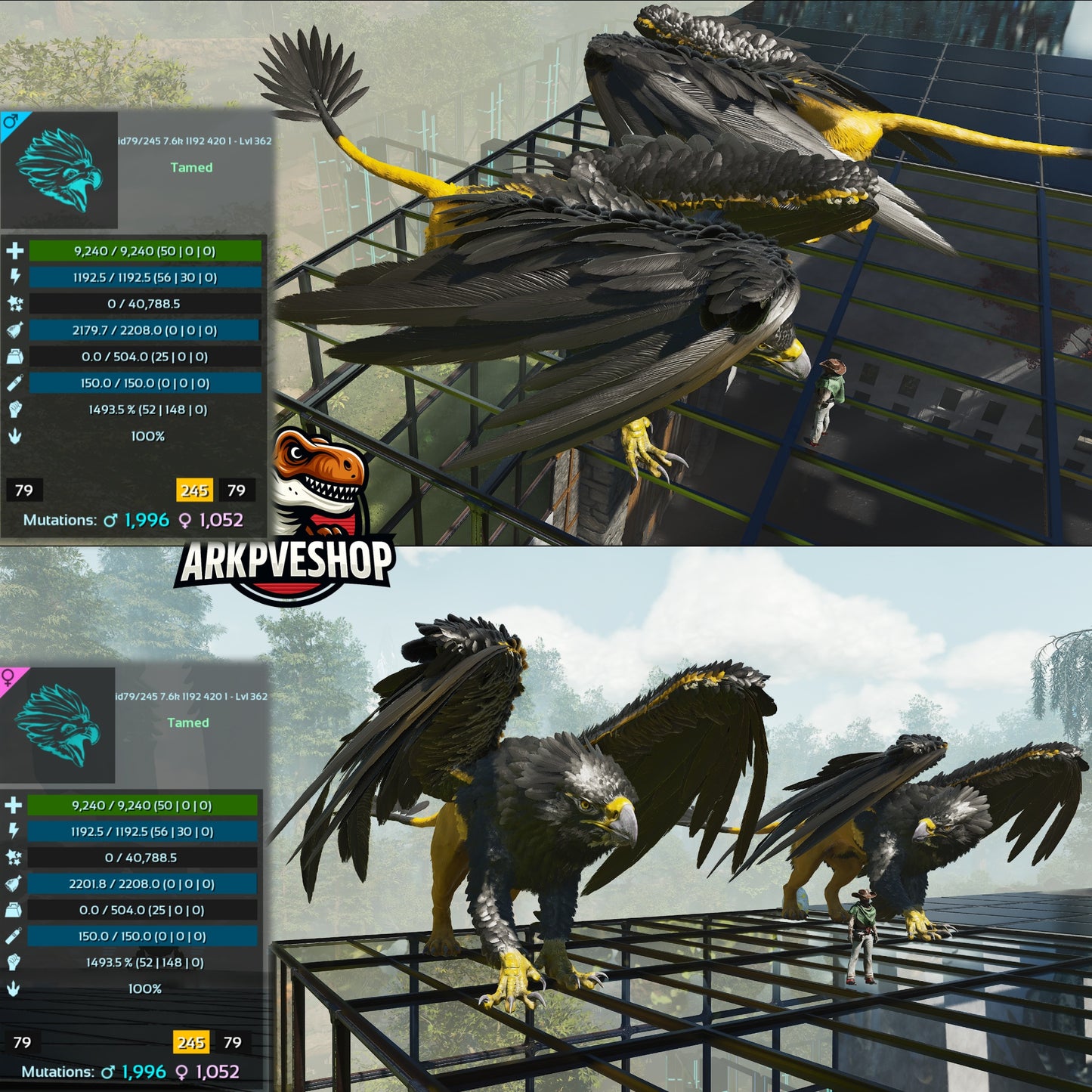 Griffin 362Lvl 1493.5% Melee