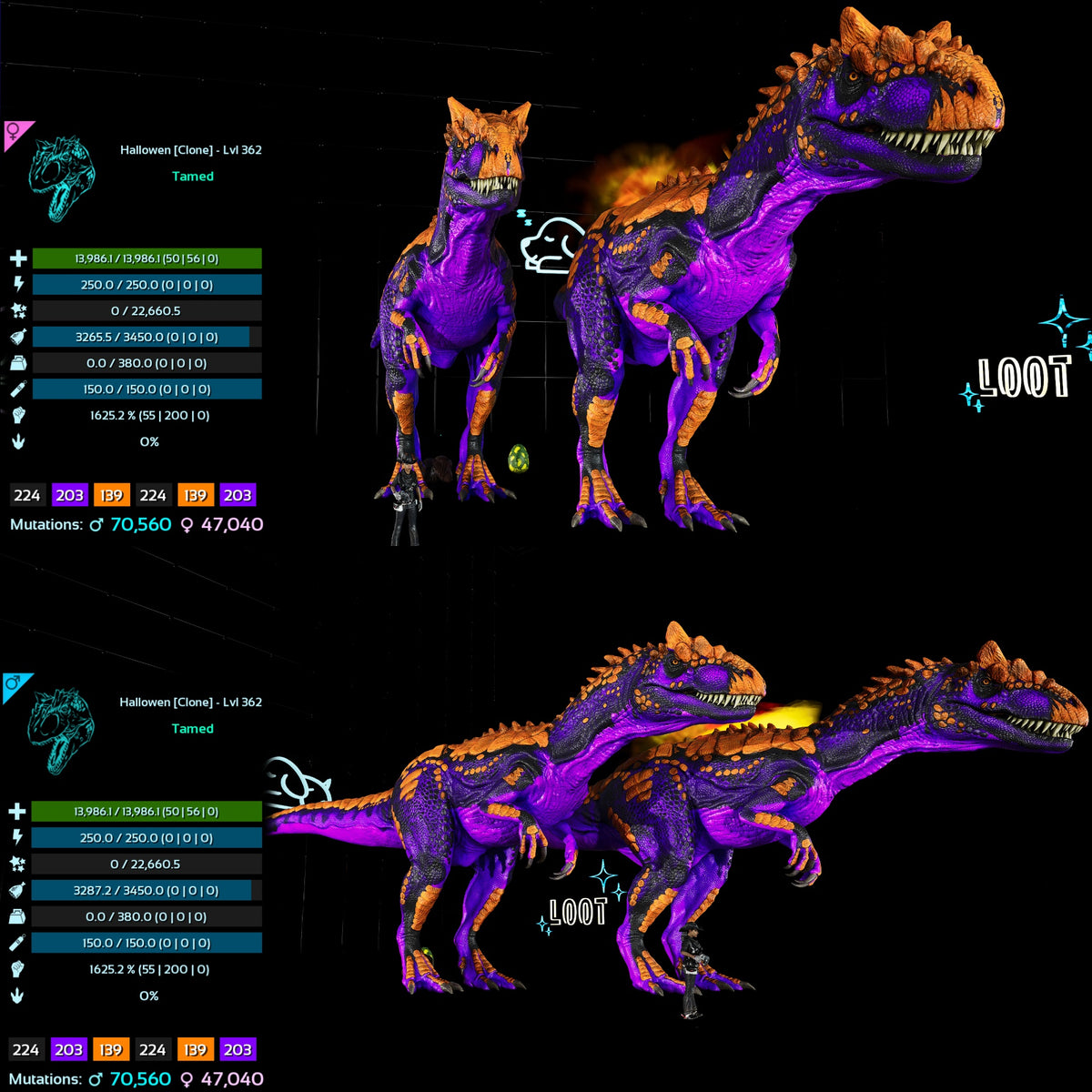 Halloween Dino Pairs Clone