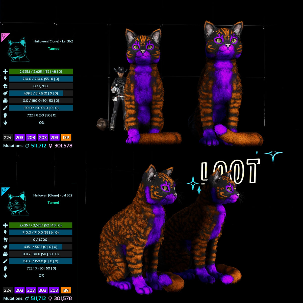 Halloween Dino Pairs Clone