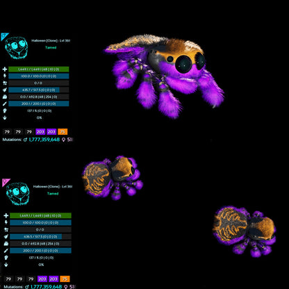 Halloween Dino Pairs Clone