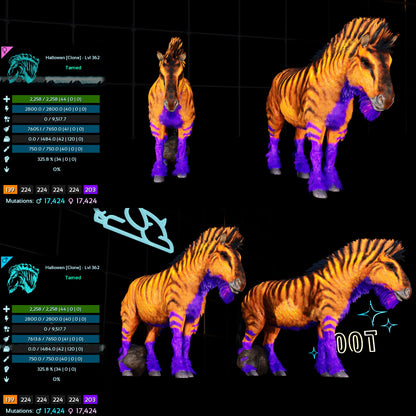 Halloween Dino Pairs Clone
