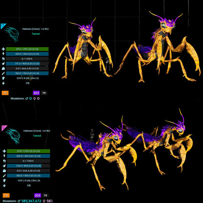 Halloween Dino Pairs Clone