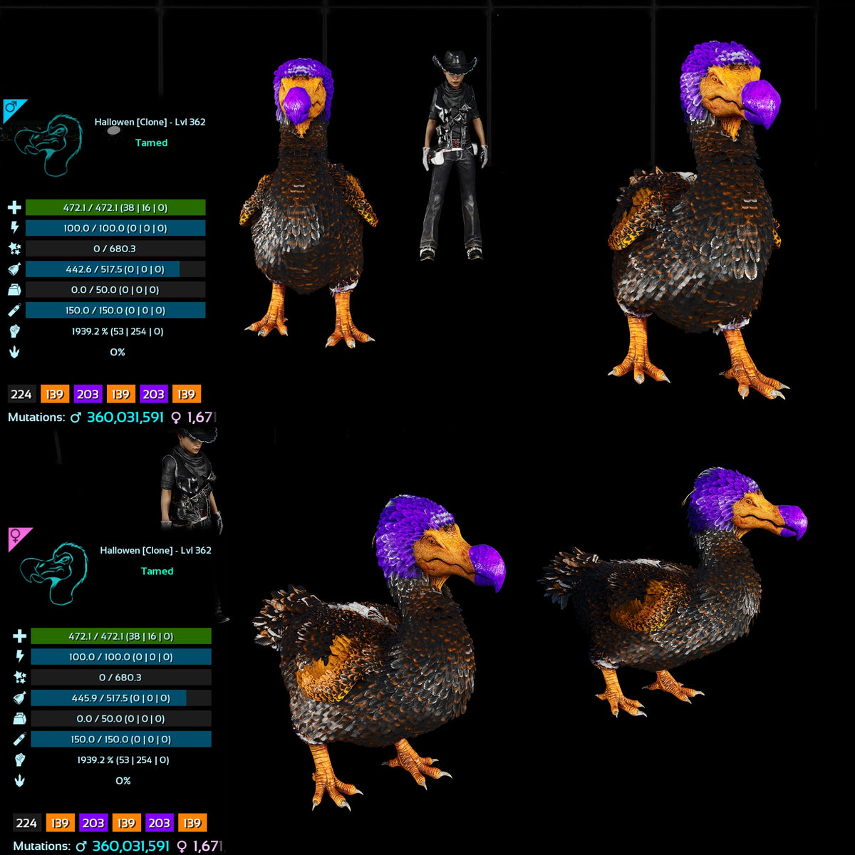 Halloween Dino Pairs Clone