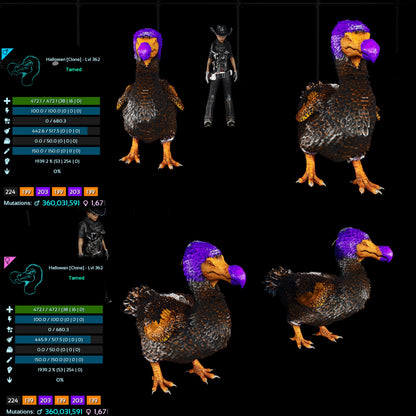 Halloween Dino Pairs Clone