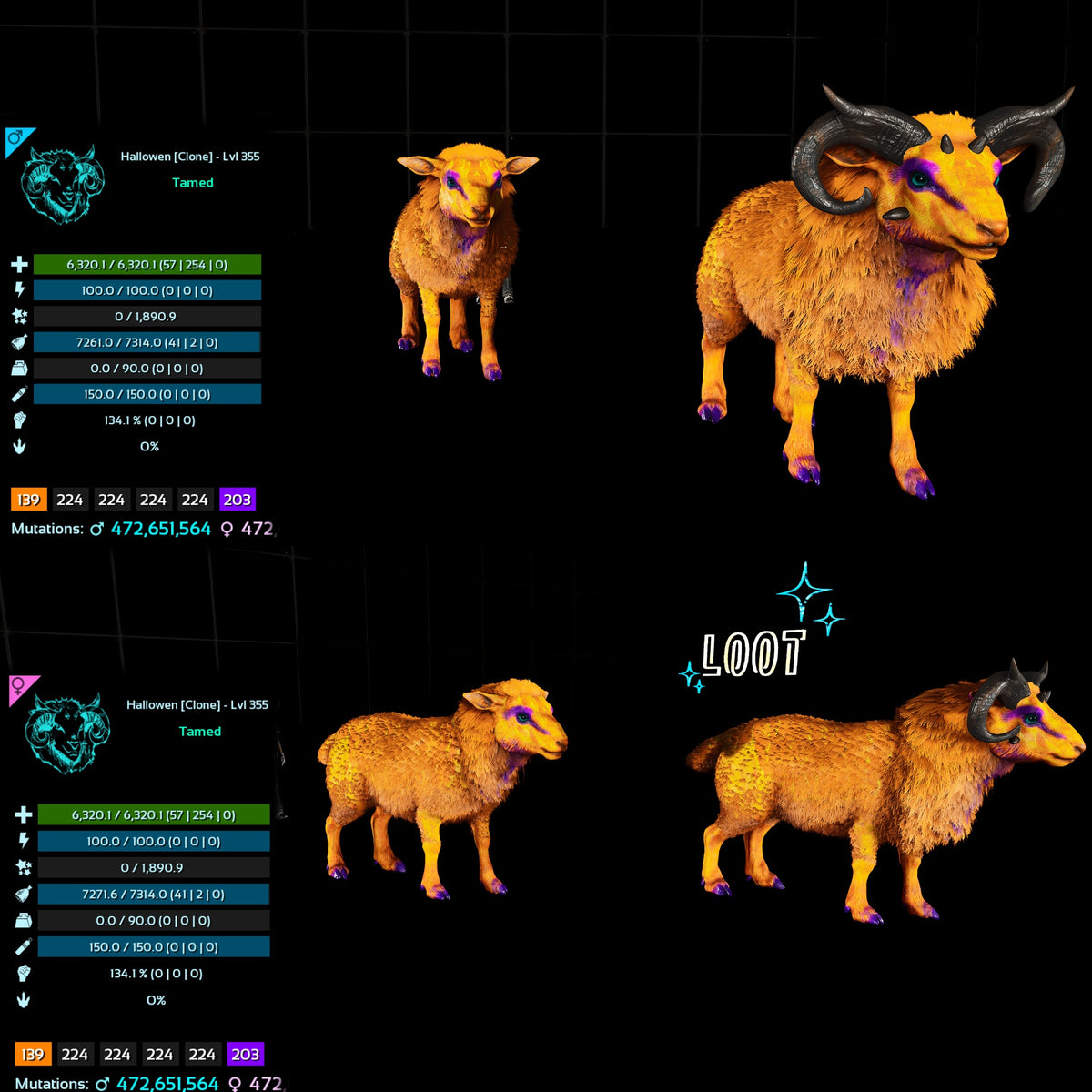 Halloween Dino Pairs Clone