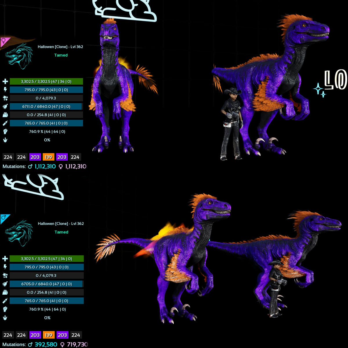 Halloween Dino Pairs Clone