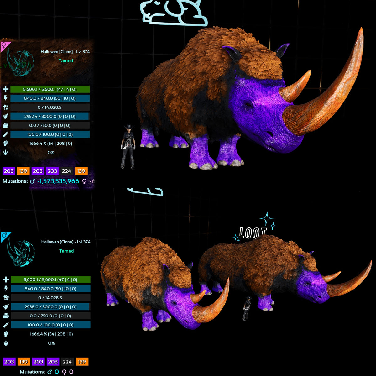 Halloween Dino Pairs Clone