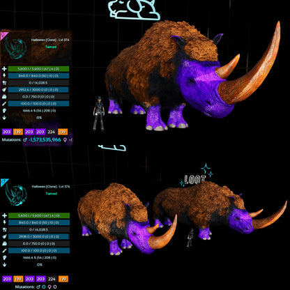 Halloween Dino Pairs Clone