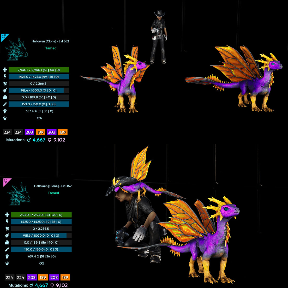 Halloween Dino Pairs Clone