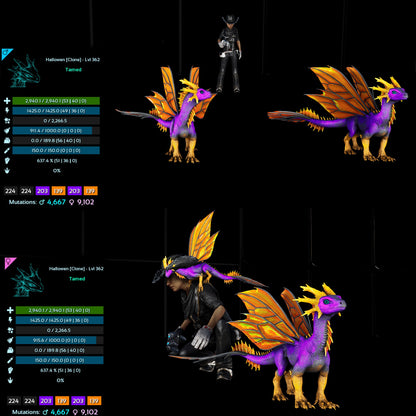 Halloween Dino Pairs Clone