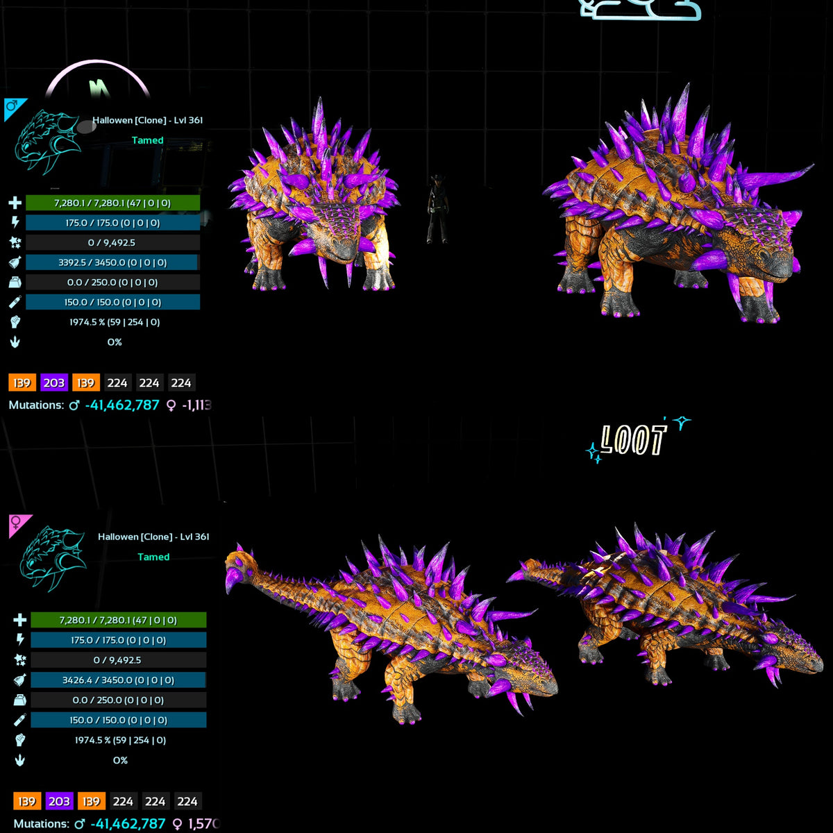 Halloween Dino Pairs Clone
