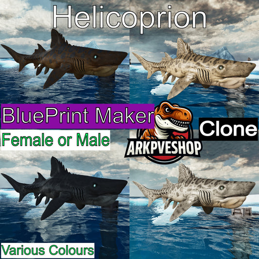 Helicoprion Clone