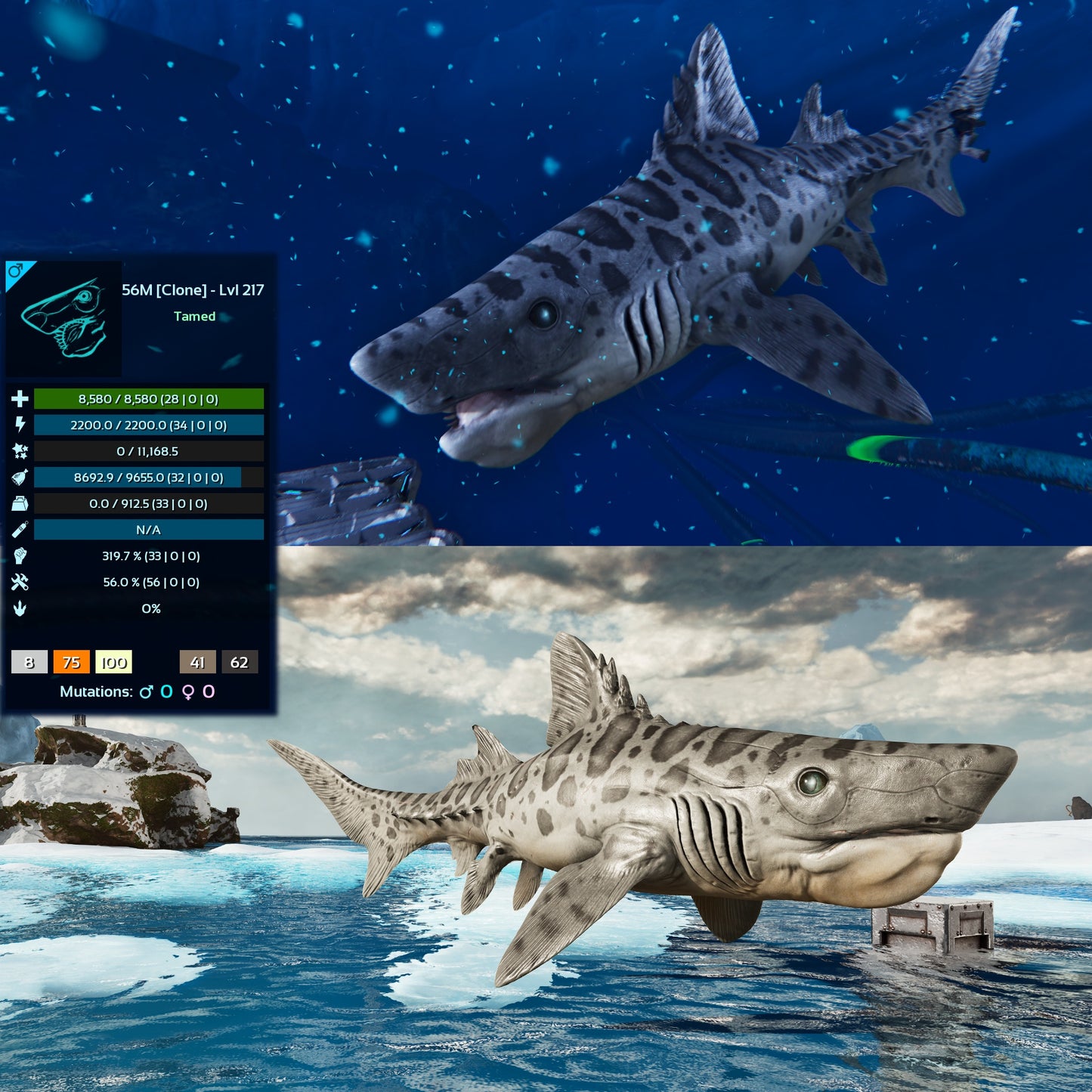 Helicoprion Clone