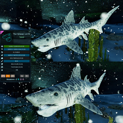 Helicoprion Clone