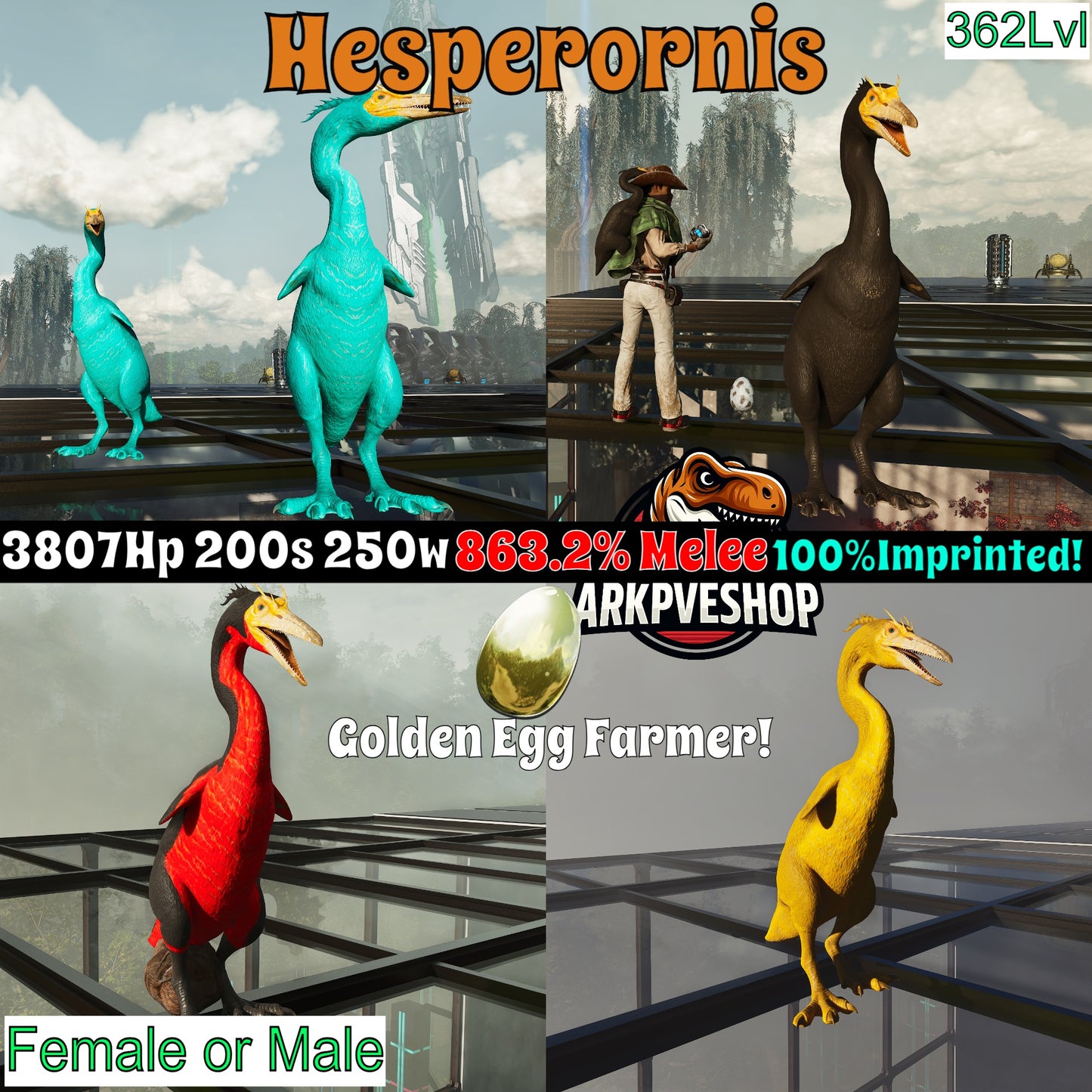 Hesperonis 863.2%melee Golden egg farmer