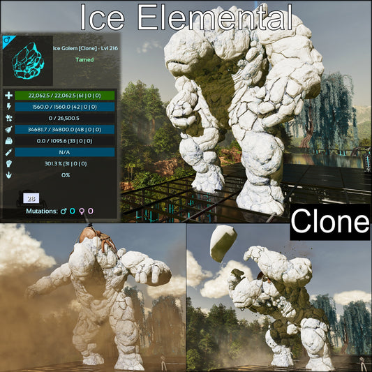 Ice Elemental / Ice Golem