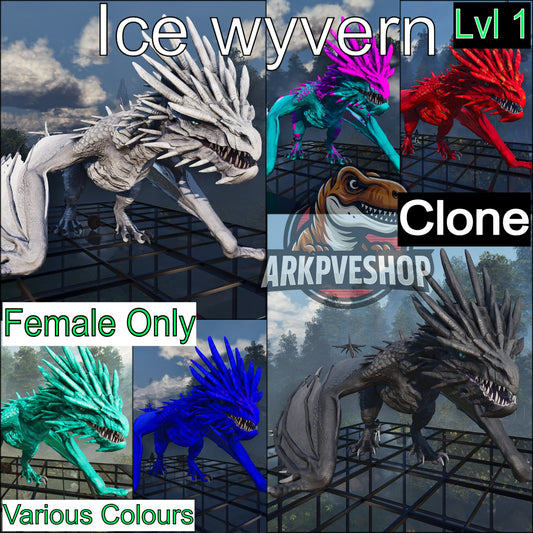 Ice wyvern Lvl 1 Clone