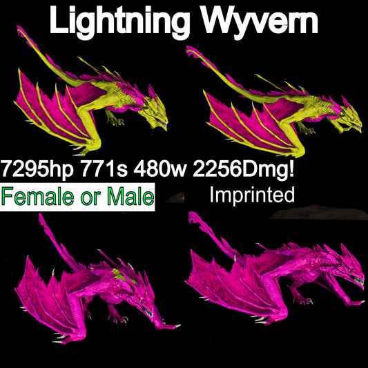 Lightning Wyvern 2256Dmg imprint Top Melee
