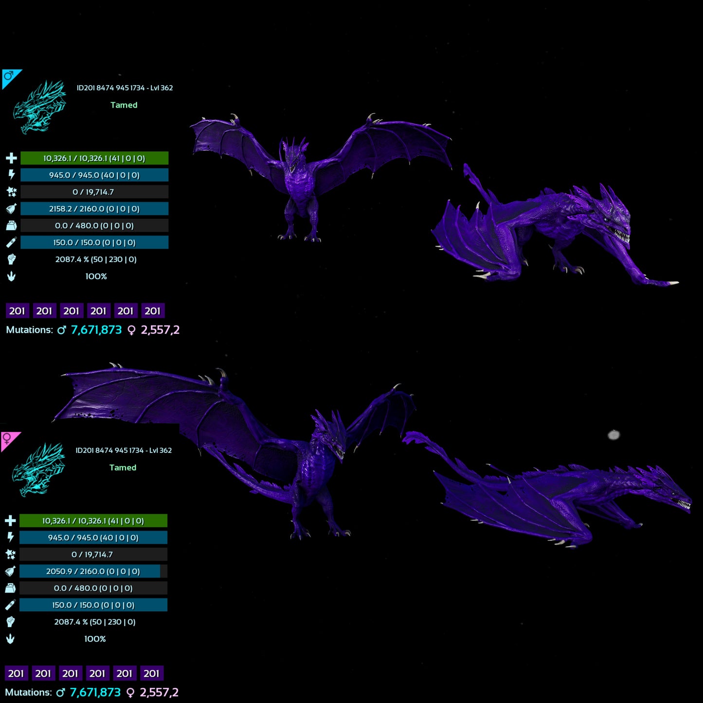 Lightning wyvern 14988Hp 1946%M / 10326Hp 2087%M