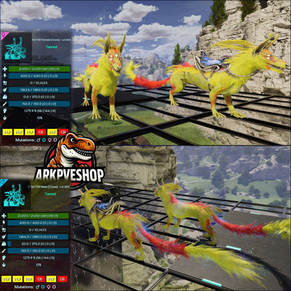 Solwyn High Lvl Clone