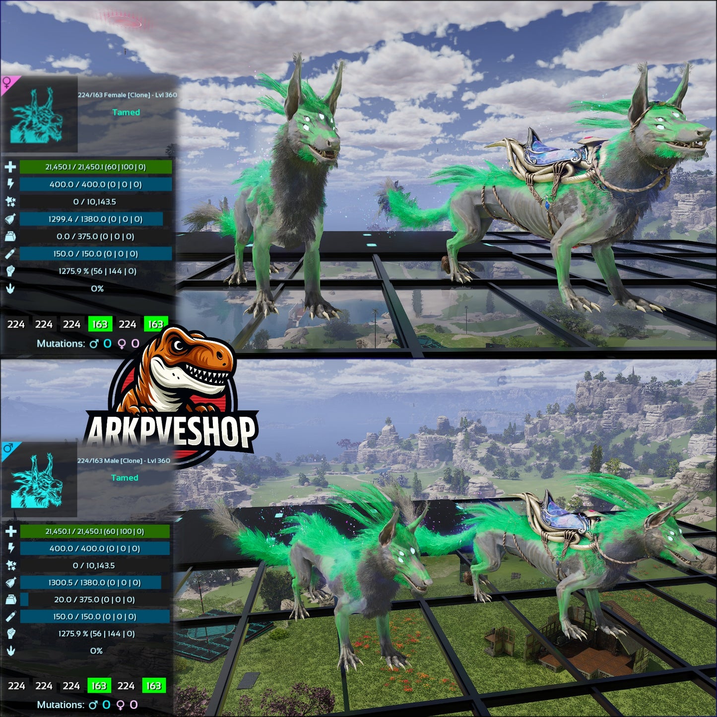 Solwyn High Lvl Clone