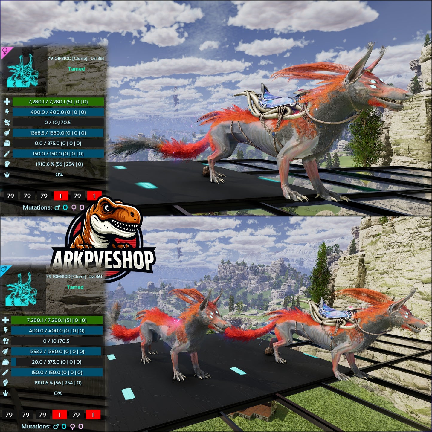 Solwyn High Lvl Clone