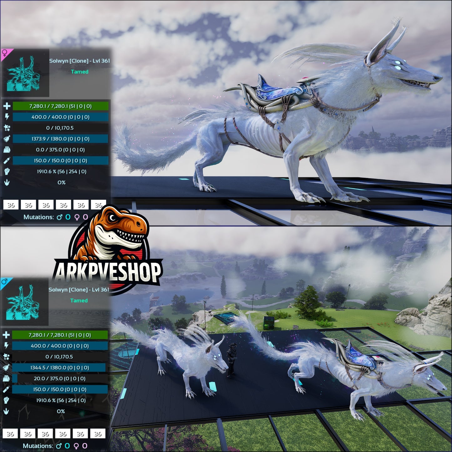 Solwyn High Lvl Clone