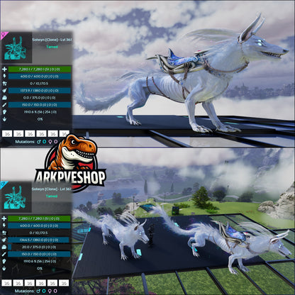 Solwyn High Lvl Clone