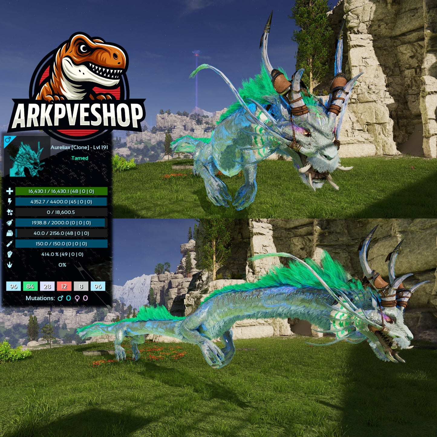 Aureliax Low&High Lvl Clone