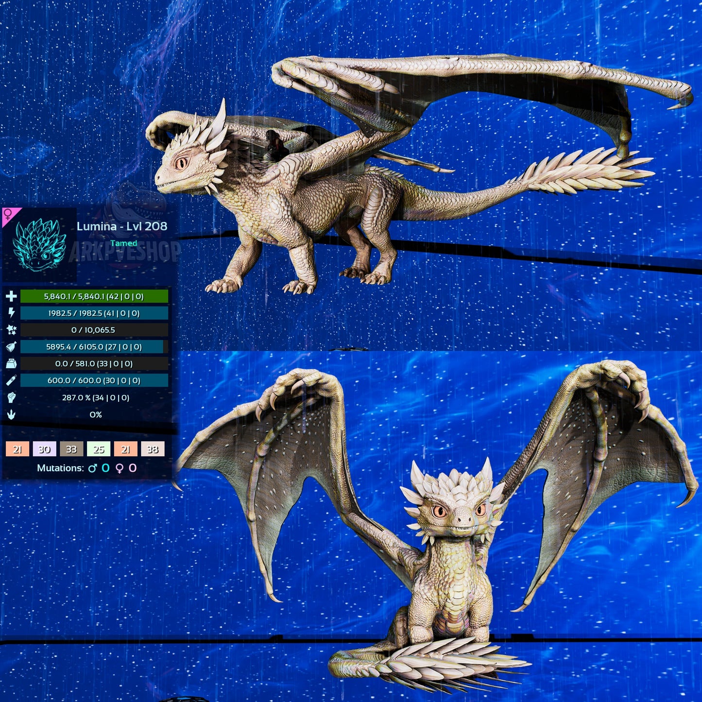 Umbra / Lumina / Dragontopia Dragon