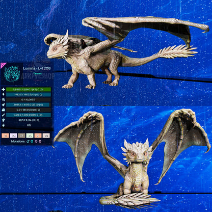 Umbra / Lumina / Dragontopia Dragon