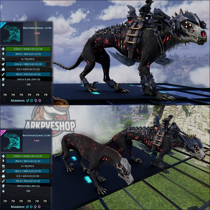 Malwyn Clone 1910%Melee