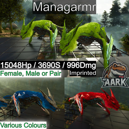 🏷️ Managarmr / Mana / 15kHP 996melee Max Level 362 🏷️