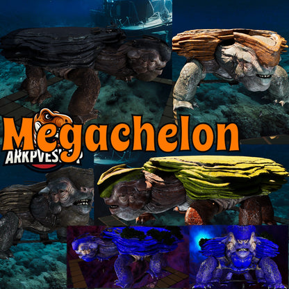 Megachelon Clone