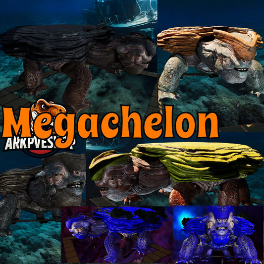 Megachelon Clone