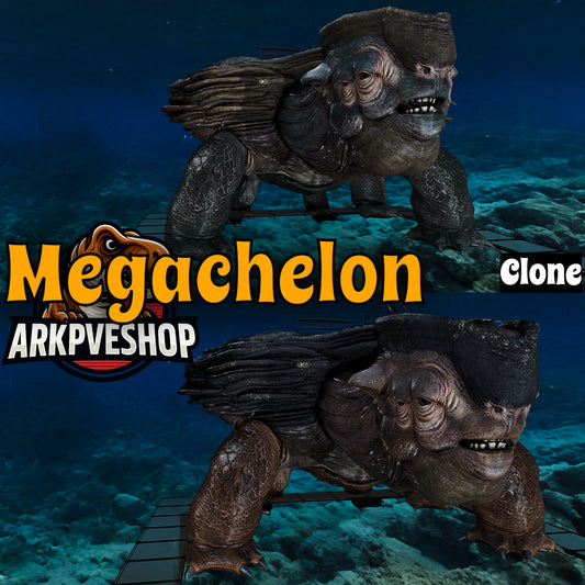 Megachelon Clone