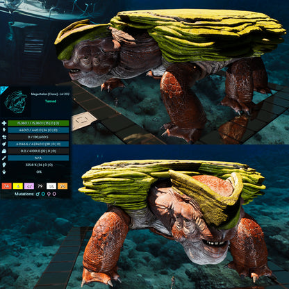 Megachelon Clone