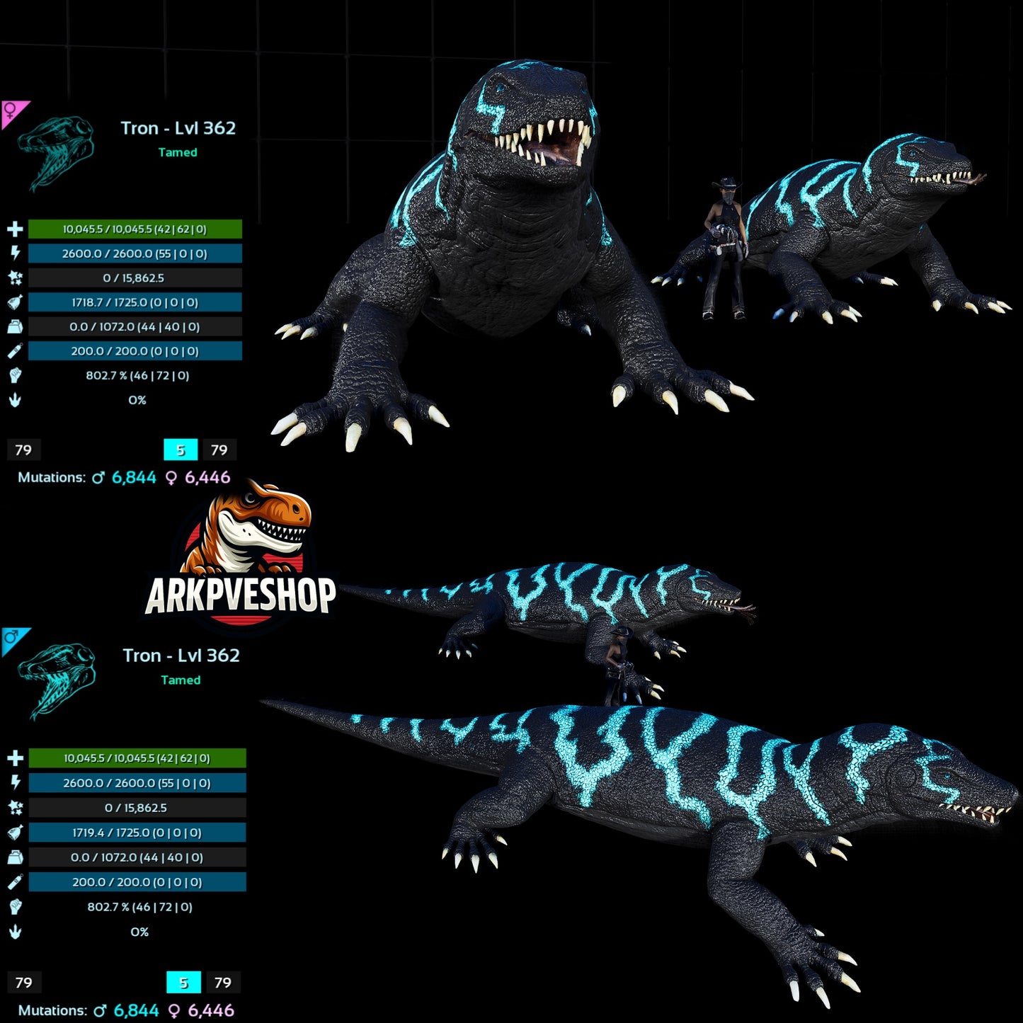 Megalania 362Lvl toxin utility