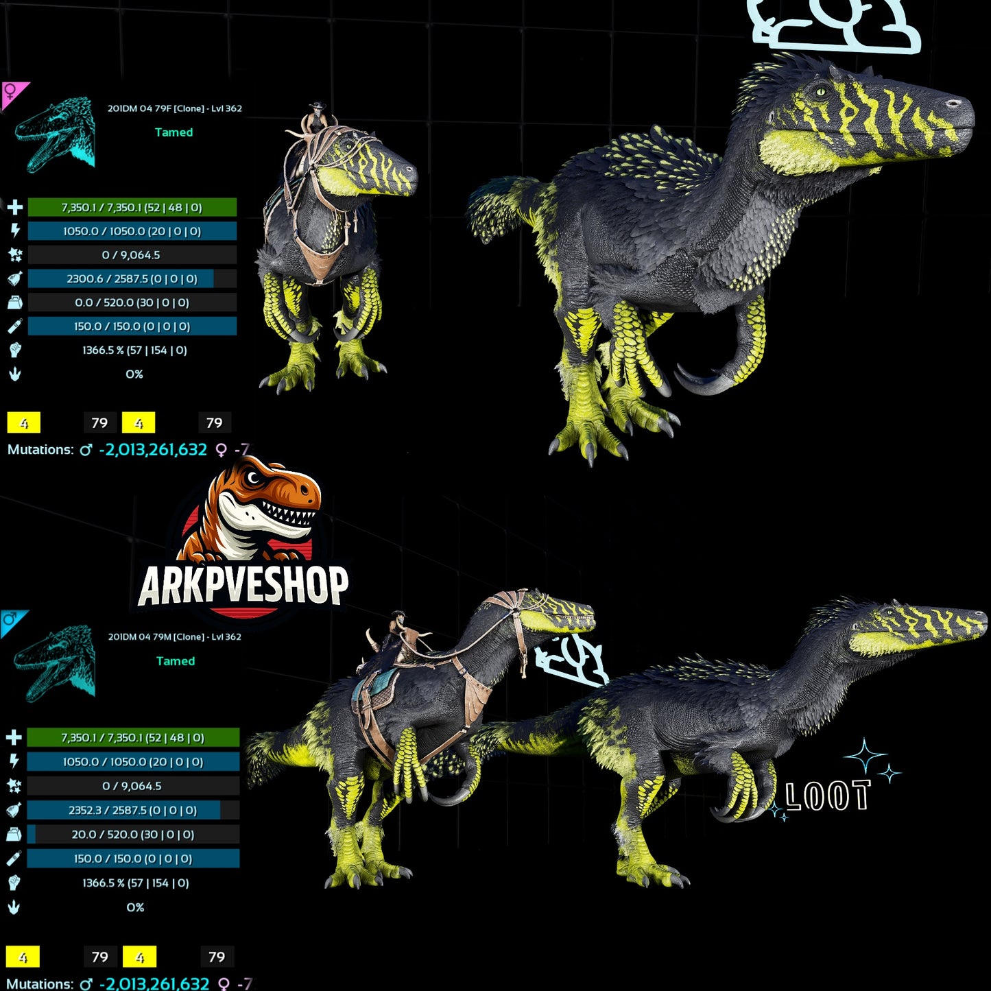 Megaraptor Colour 1366.5% Melee Clone