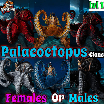 Palaeoctopus Genesis Lvl 1