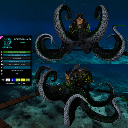 Palaeoctopus Genesis clone